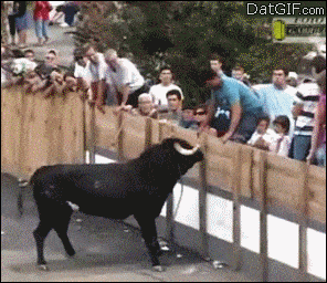 funny GIF