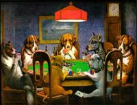 dogs playing 5cd