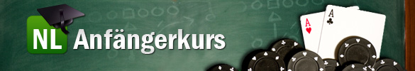 NL BSS School