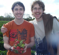 tbstrawberries