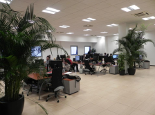 office