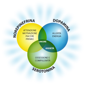 Neuropsychology Chart
