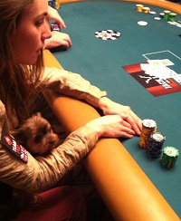 liv dog liv dog