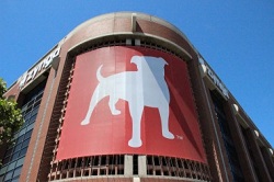 Zynga Zynga