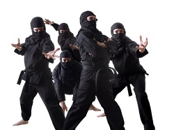 Ninja Ninja