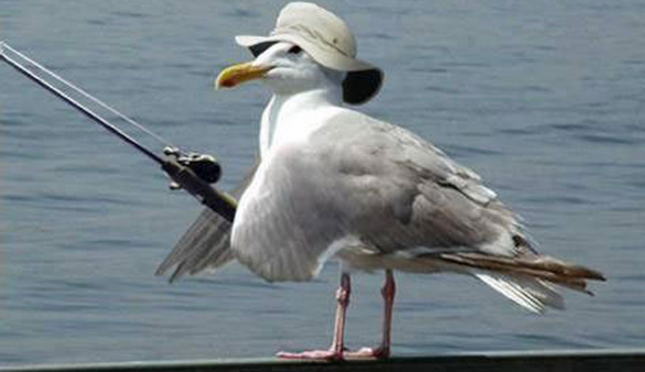 pesca
