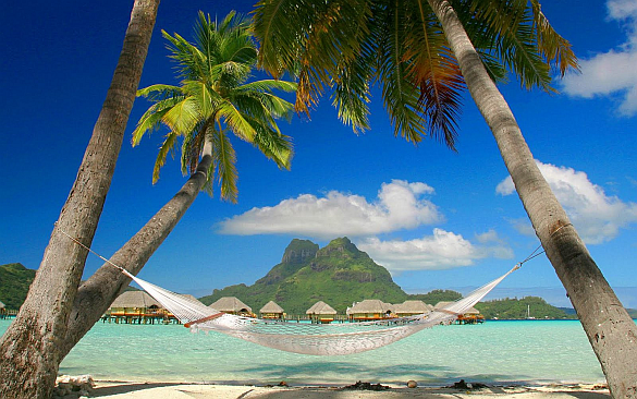 paradise