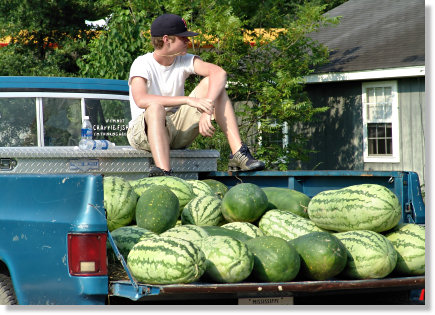 MOLTIPLICATORI sul camion Camion di cocomeri