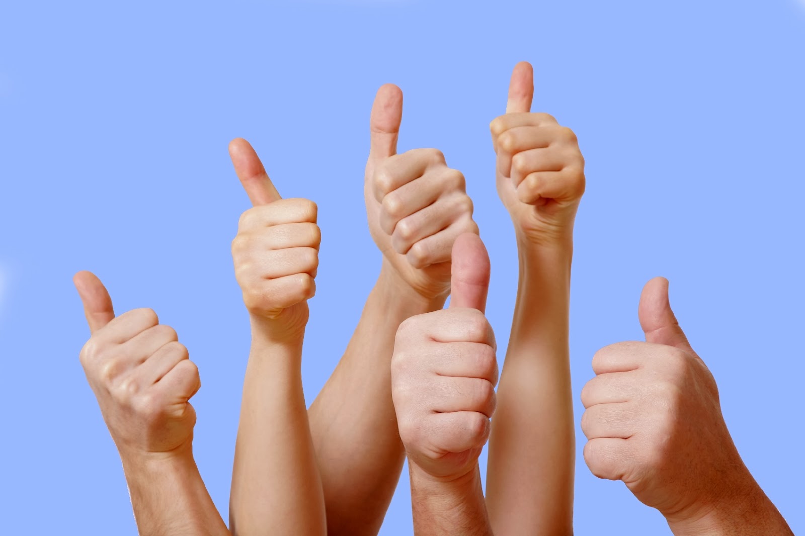 Blog Feedback