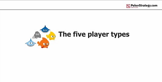 Five player types