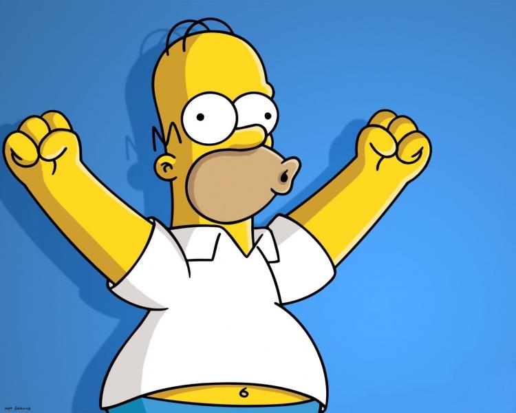 Homer Simpson Homer Simpson