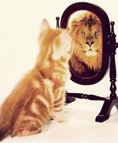 Poker Mirrors Poker Mirrors