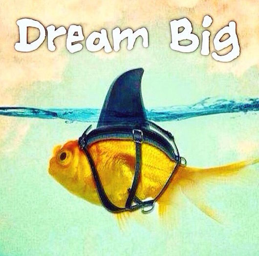 fish shark dream big