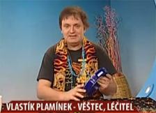 Vlastik Plaminek