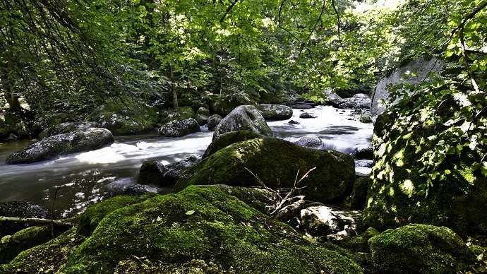 heilik in der Natur Natur
