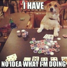 poker meme