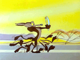 Wyle E. Coyote