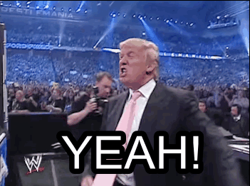 funny gif