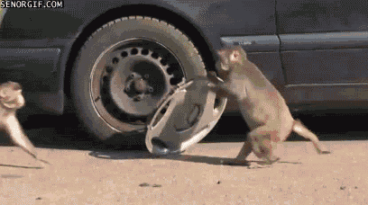 button gif
