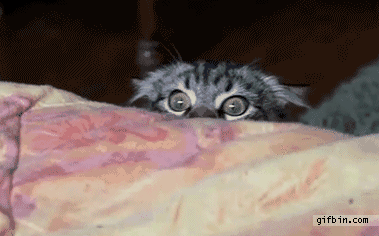 gif bottone