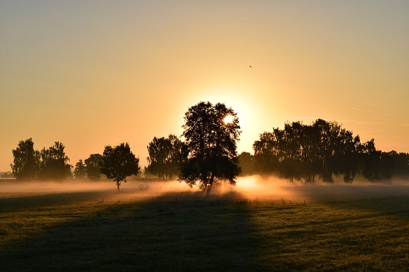 früh am morgen