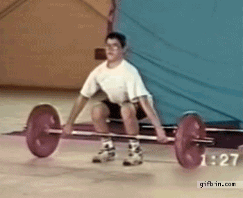 funny gif