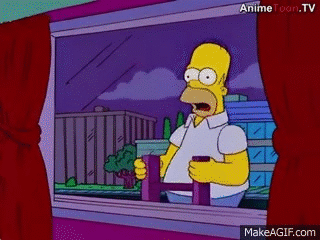 homer simpson