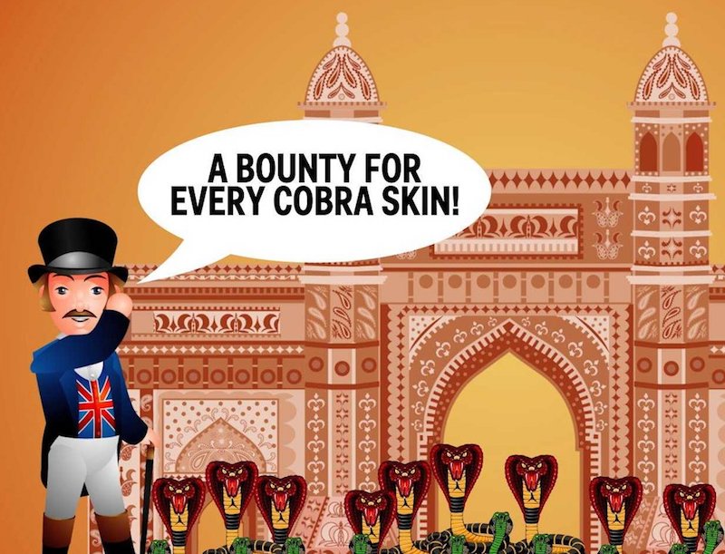 cobra effect