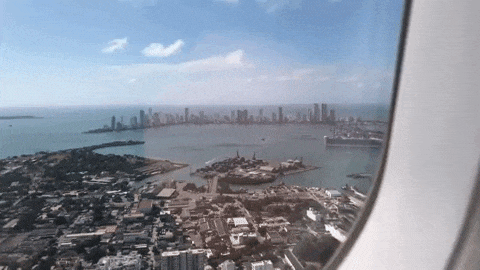 Davin gif Flight