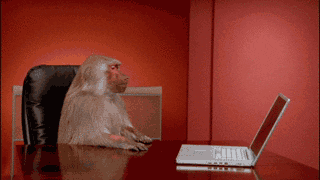 Monkey Office