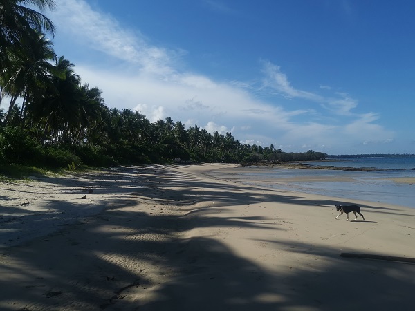 Strand=