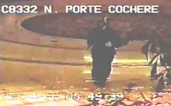 Bellagio Robber