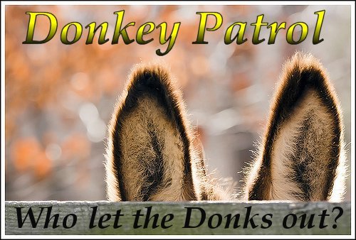 Donkey Patrol Donkey Patrol