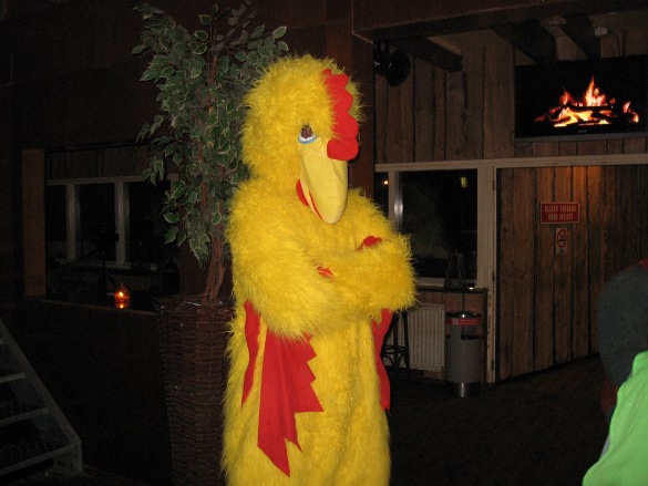 //cdn-origin.pokerstrategy.com/Editorial/nl/nieuws/chicken.jpg