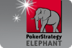Elephant Blog Elephant Blog