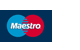 Maestro Debit Card